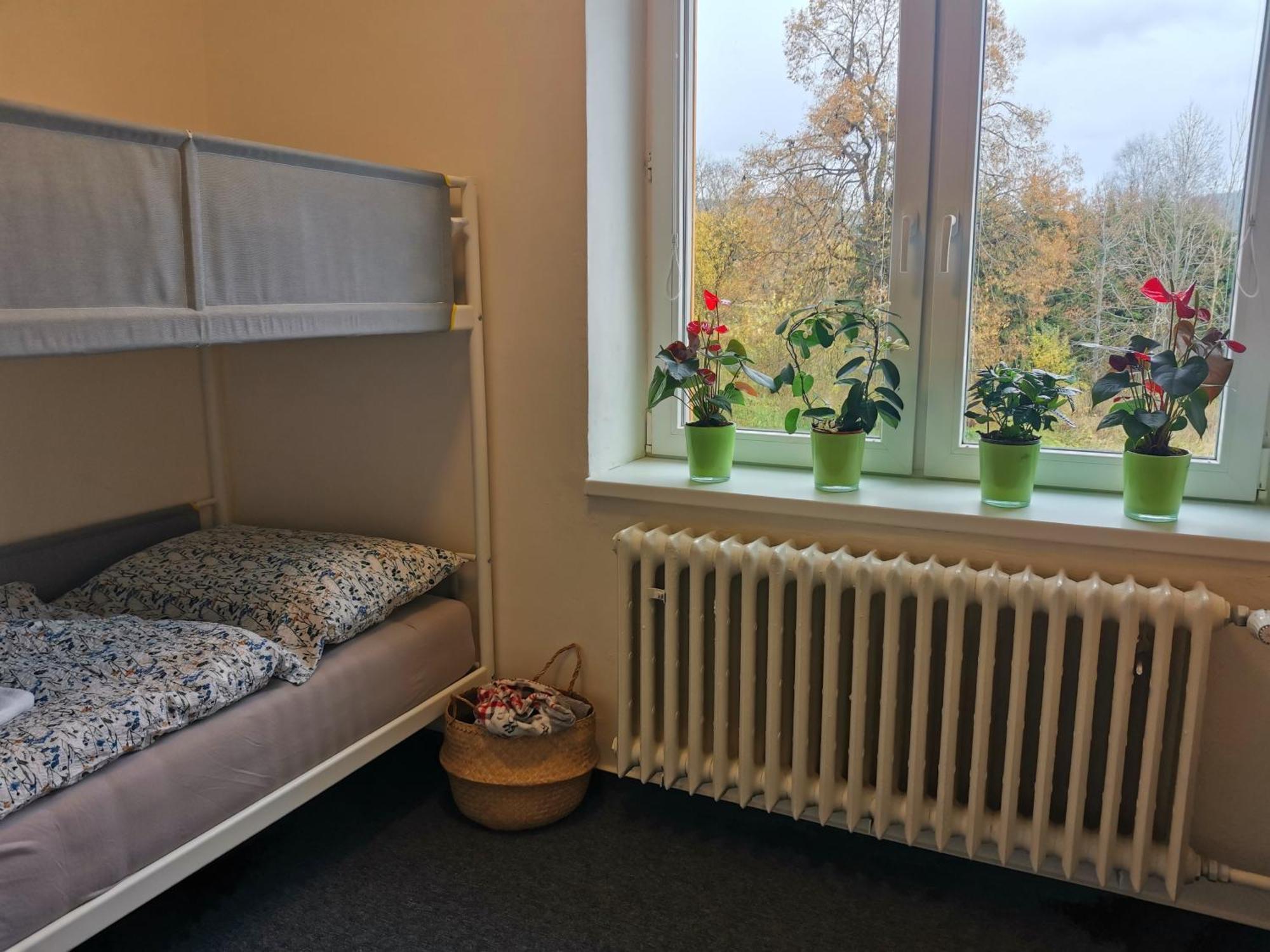 Apartmany Pekna 10 Nová Pec 外观 照片