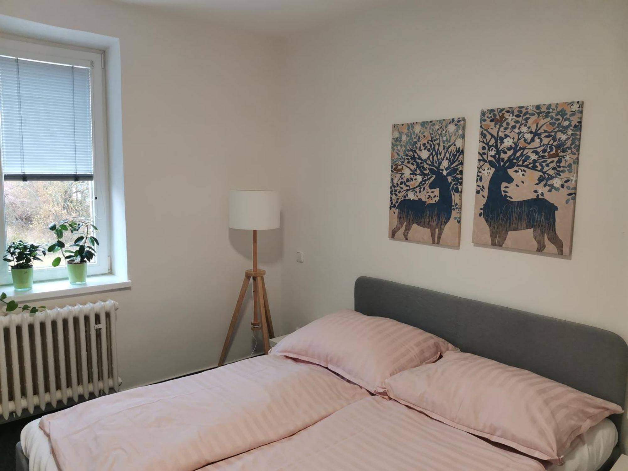 Apartmany Pekna 10 Nová Pec 外观 照片
